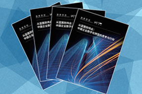 《从蓝图到伟业：中国企业数字化转型的思考与行动》